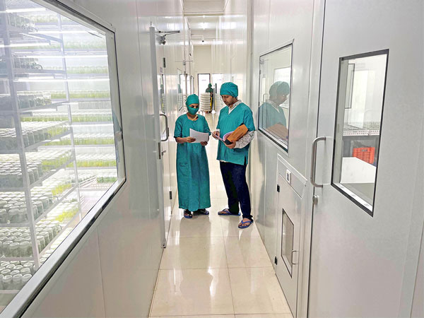 Callus Biotech Infrastructure