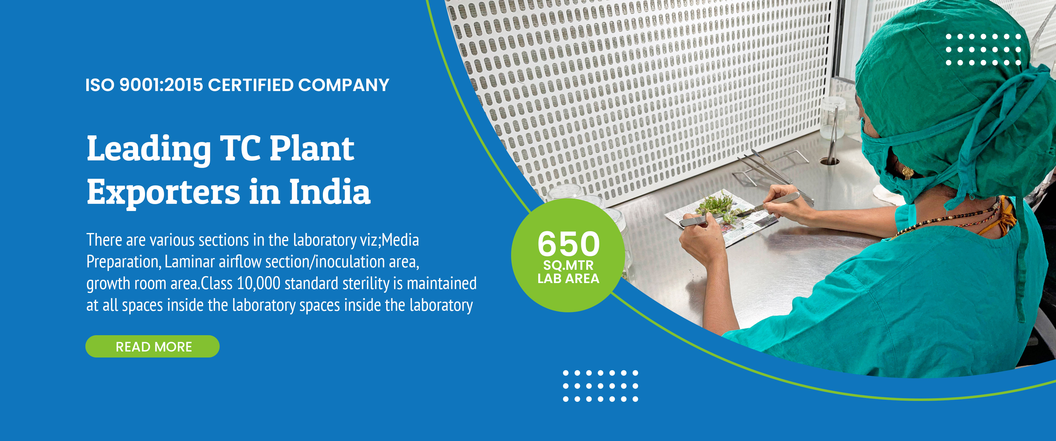 Leading Exporter of TC Plants in India